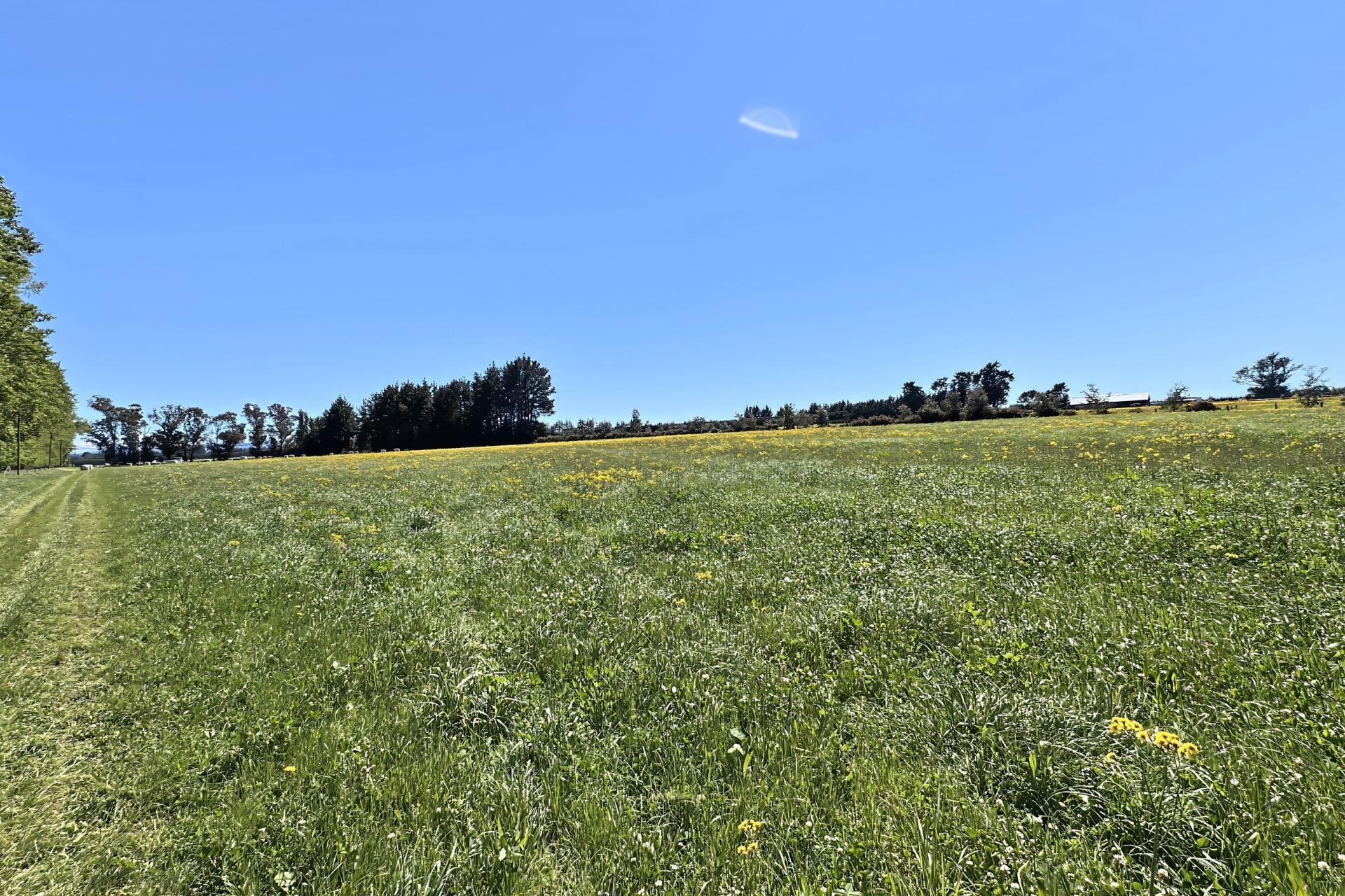 732 Rangiora Leithfield Road, Leithfield