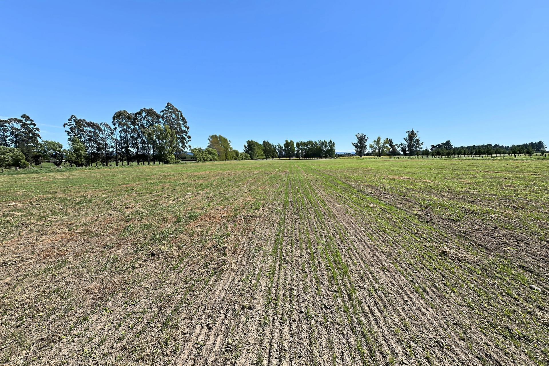 732 Rangiora Leithfield Road, Leithfield