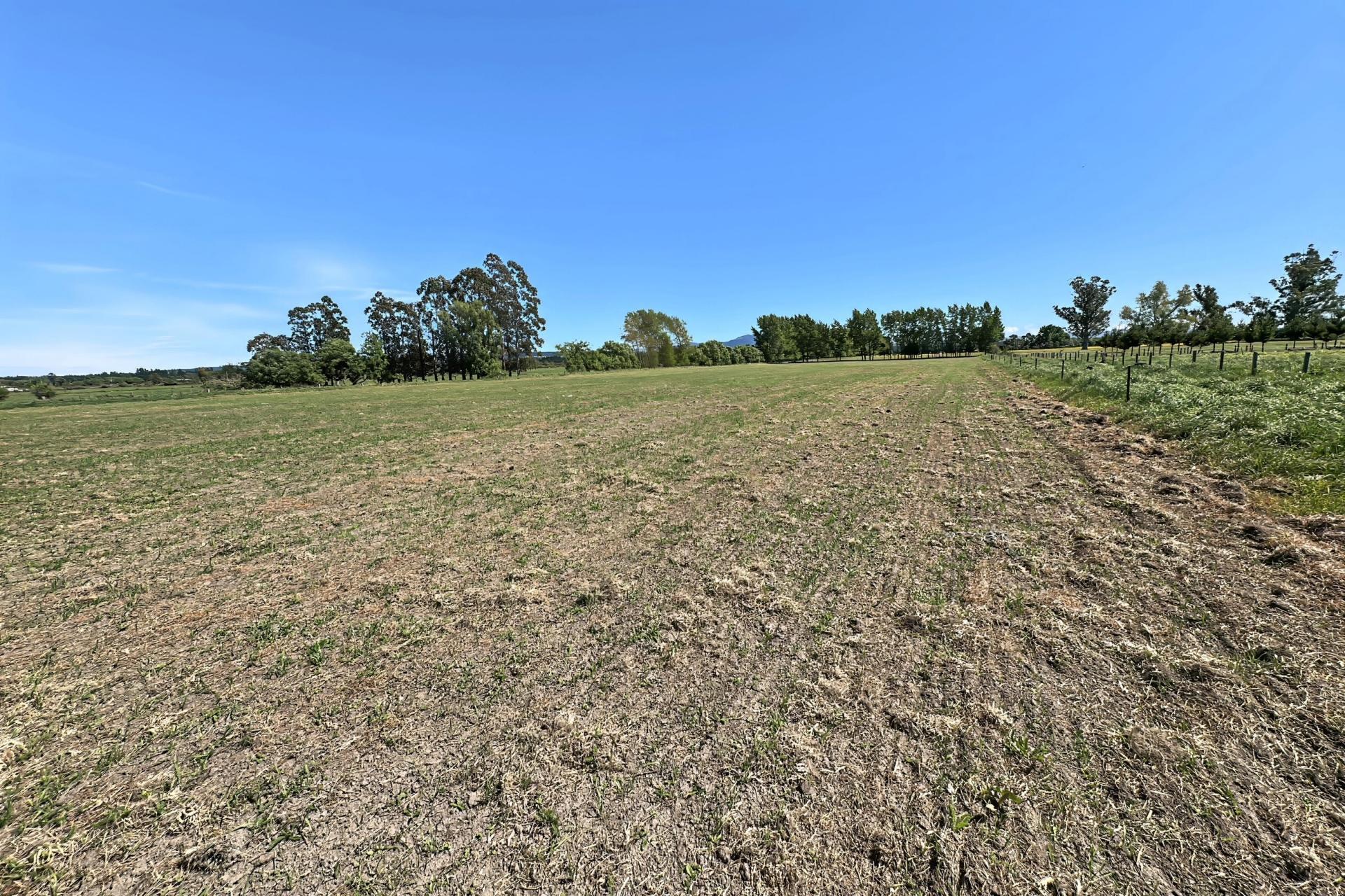 732 Rangiora Leithfield Road, Leithfield