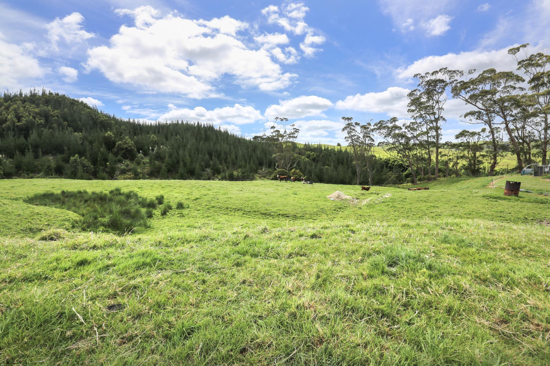 4314 State Highway 14, Tangowahine