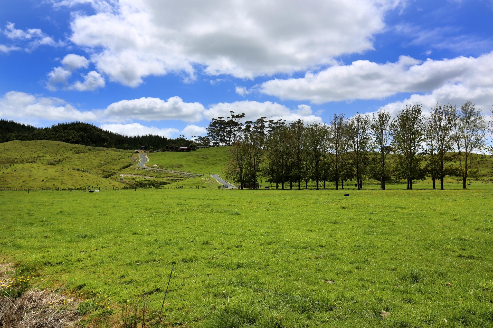 4314 State Highway 14, Tangowahine