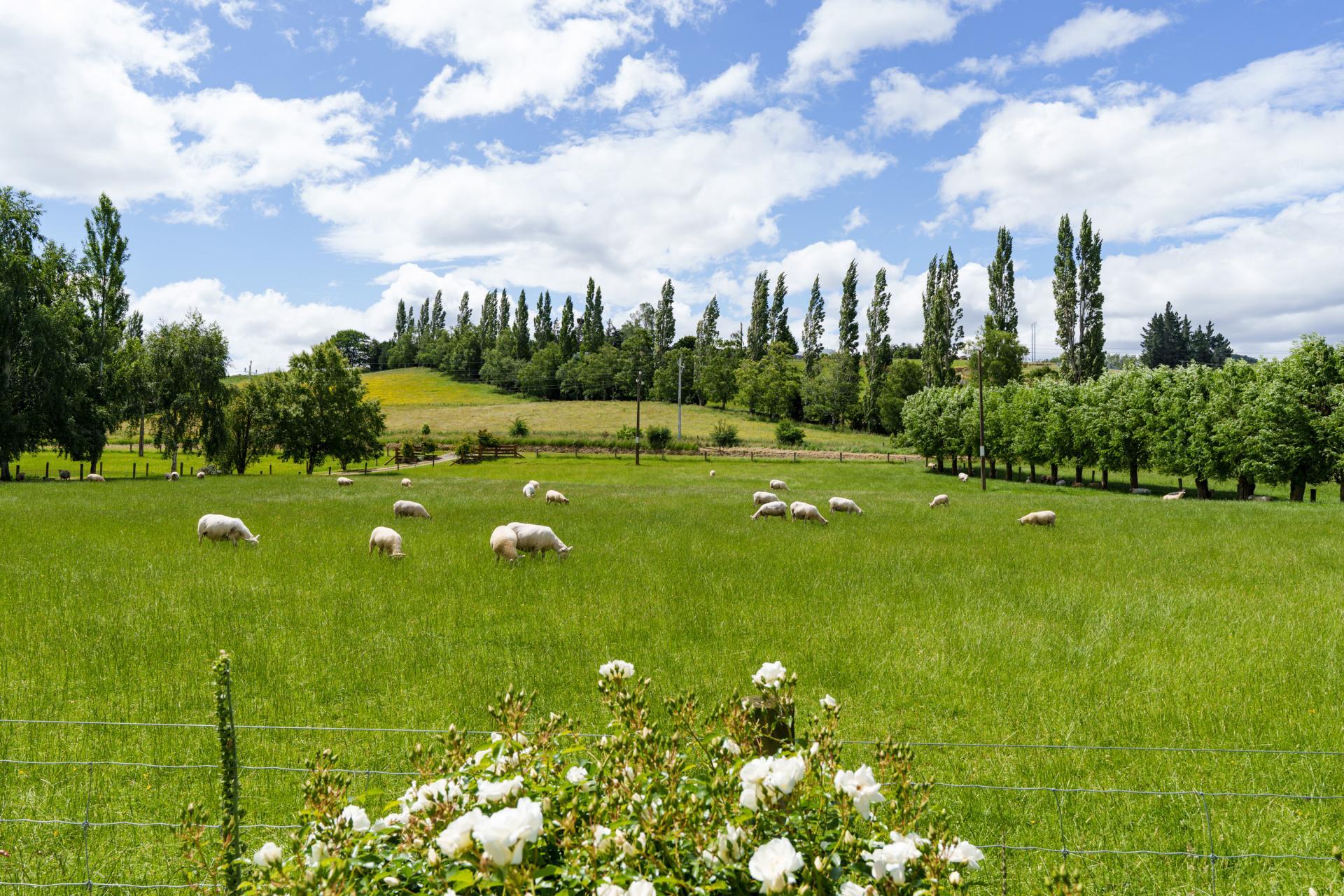 280 Wairongoa Road, North Taieri