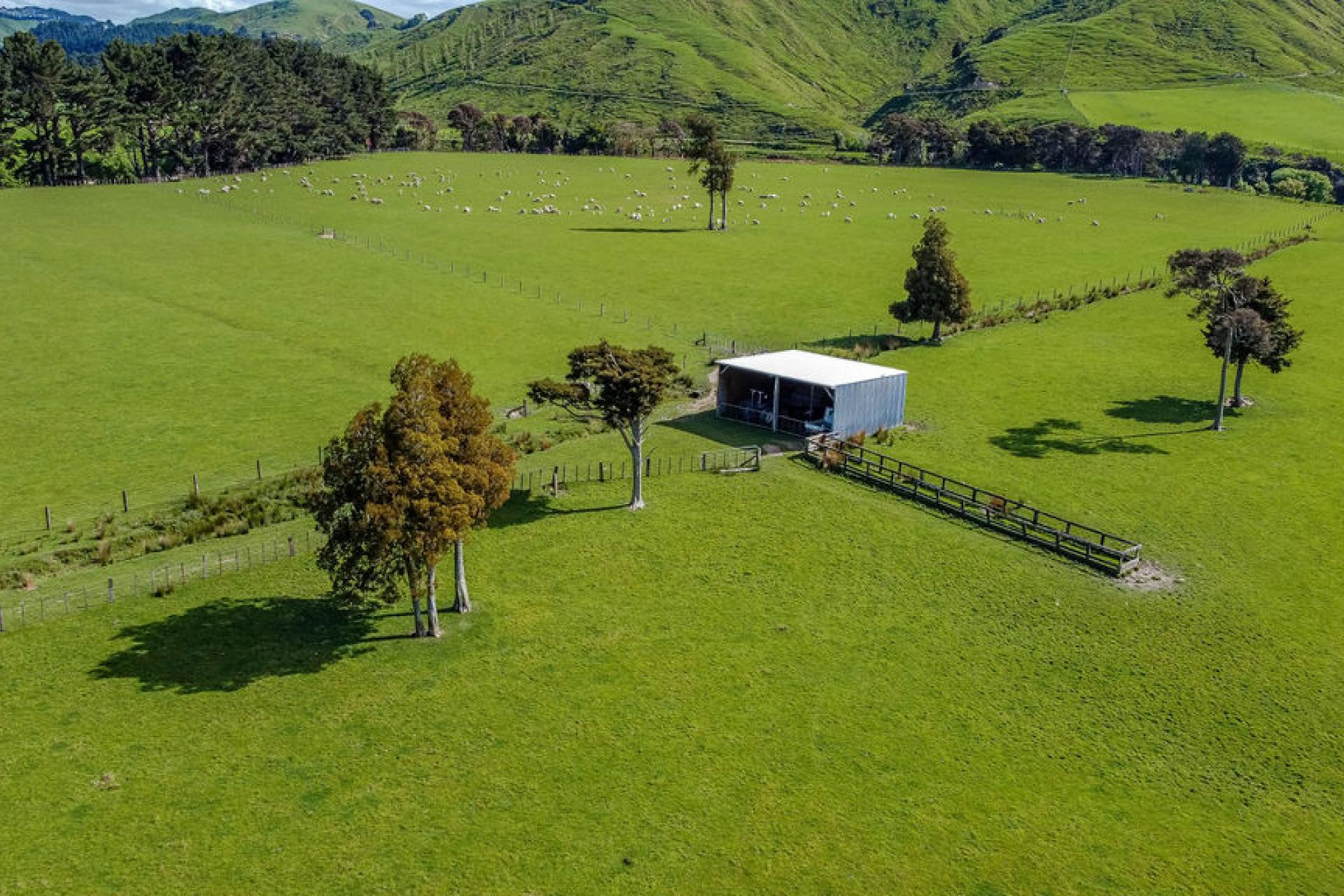 1614 Hinemoa Valley Road, Pahiatua