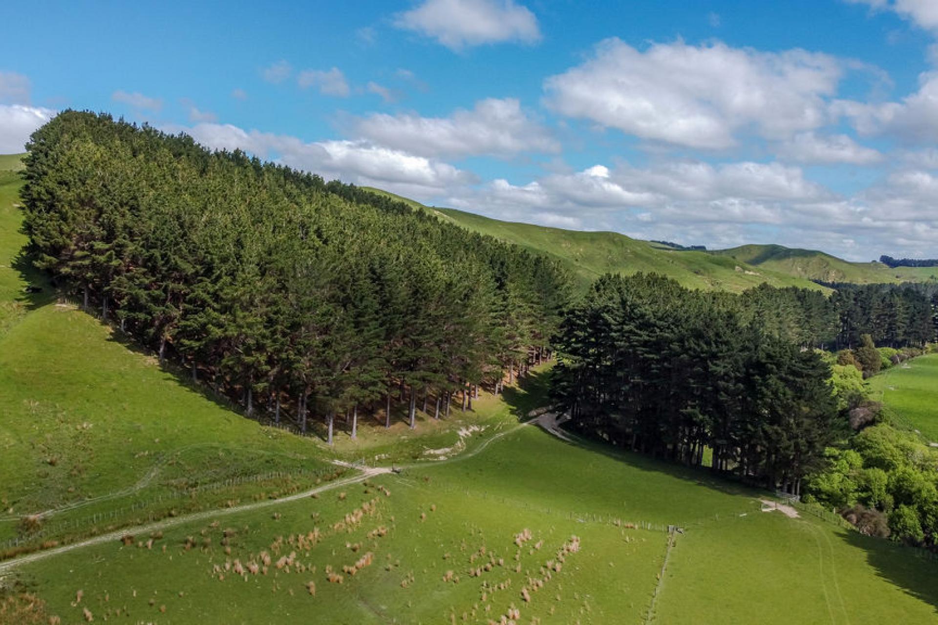 1614 Hinemoa Valley Road, Pahiatua