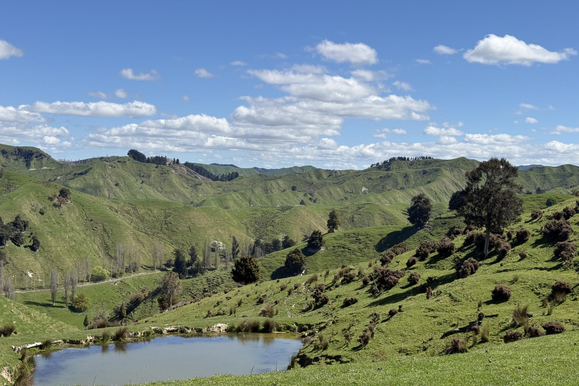 247 Te Kapua Road, Mangaweka