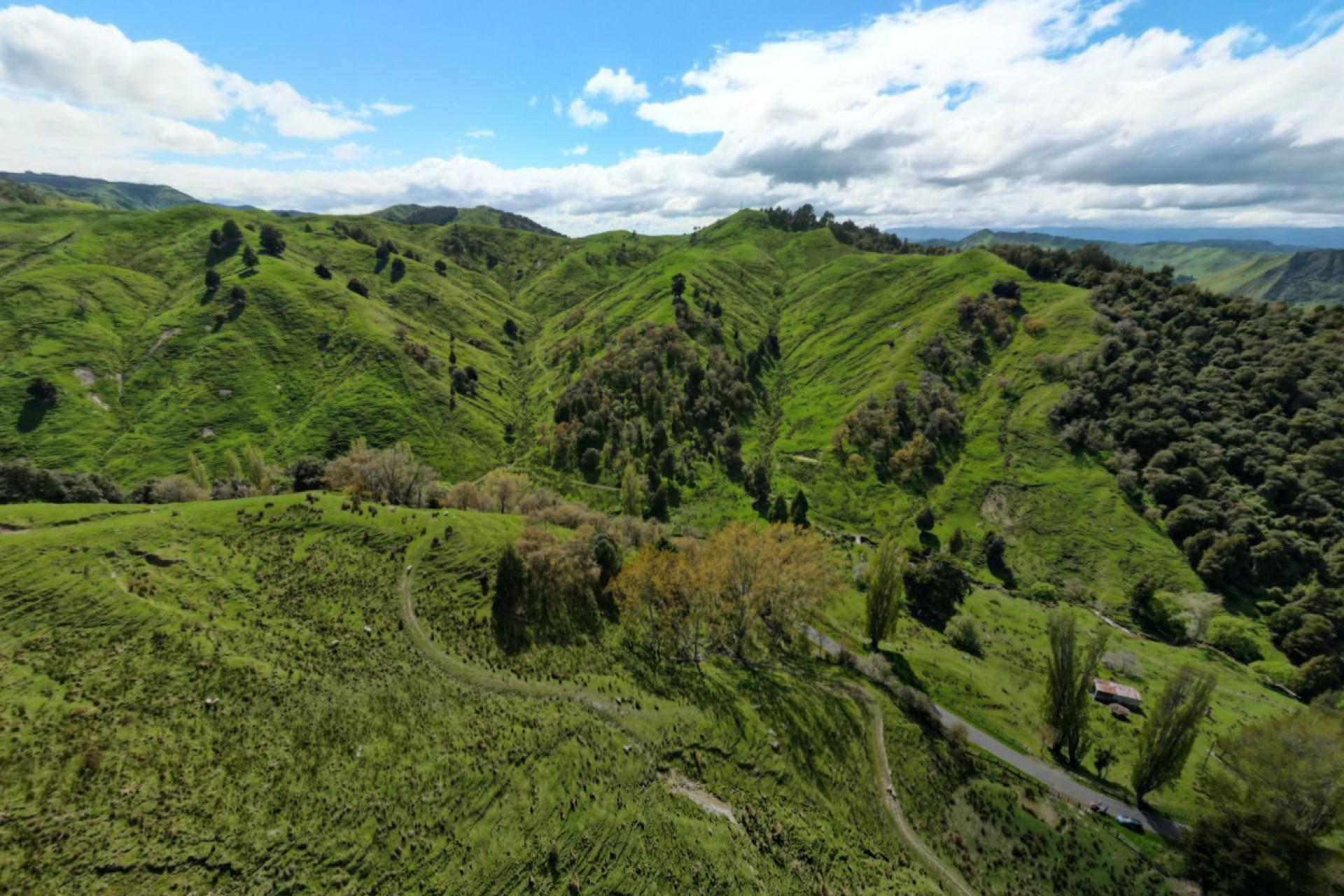 247 Te Kapua Road, Mangaweka