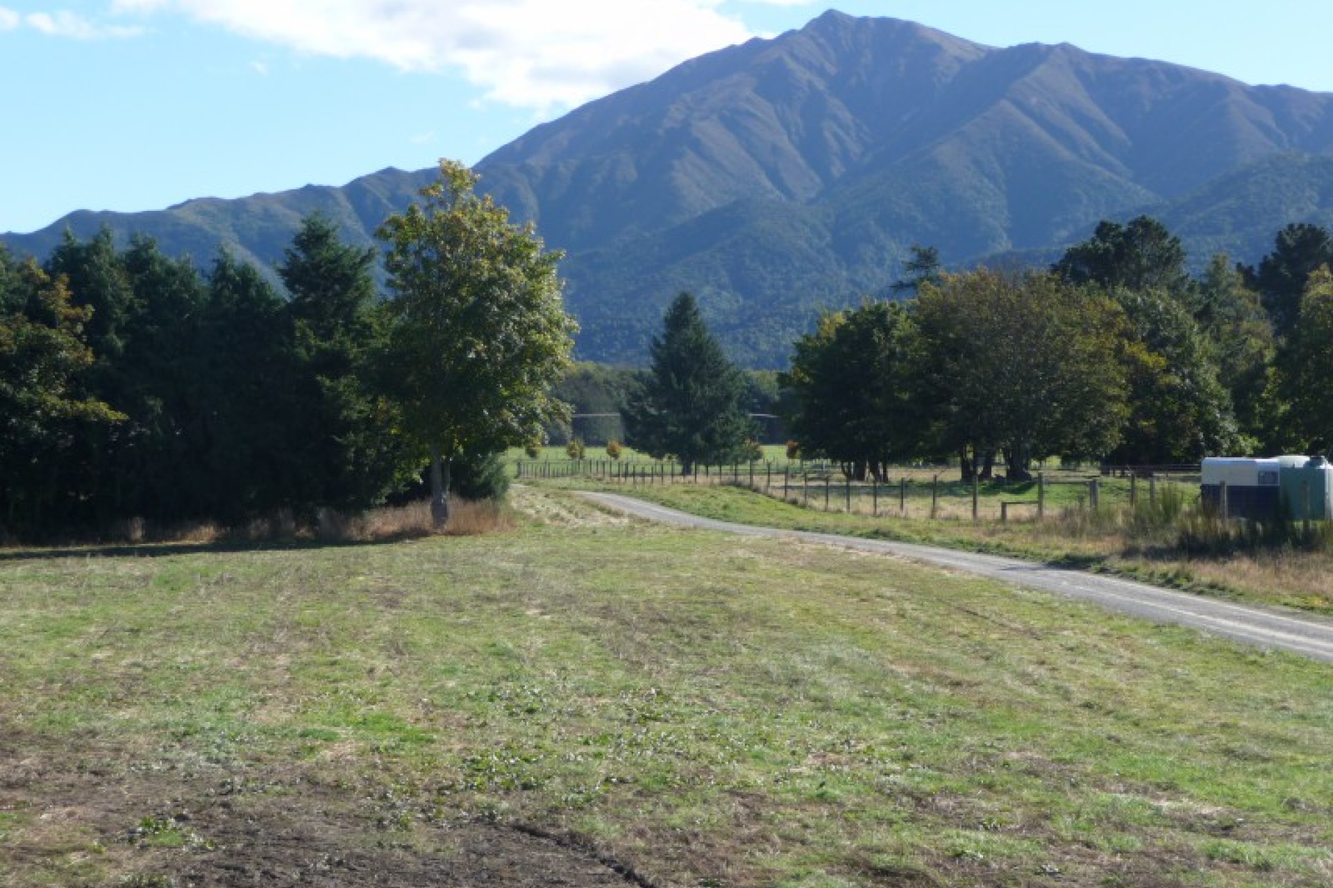 Peel Forest PGG Wrightson Real Estate