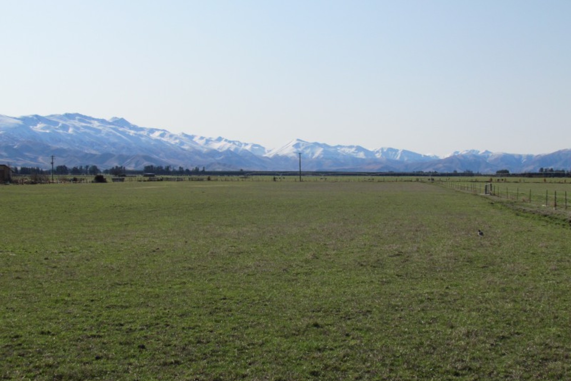 Fairlie PGG Wrightson Real Estate