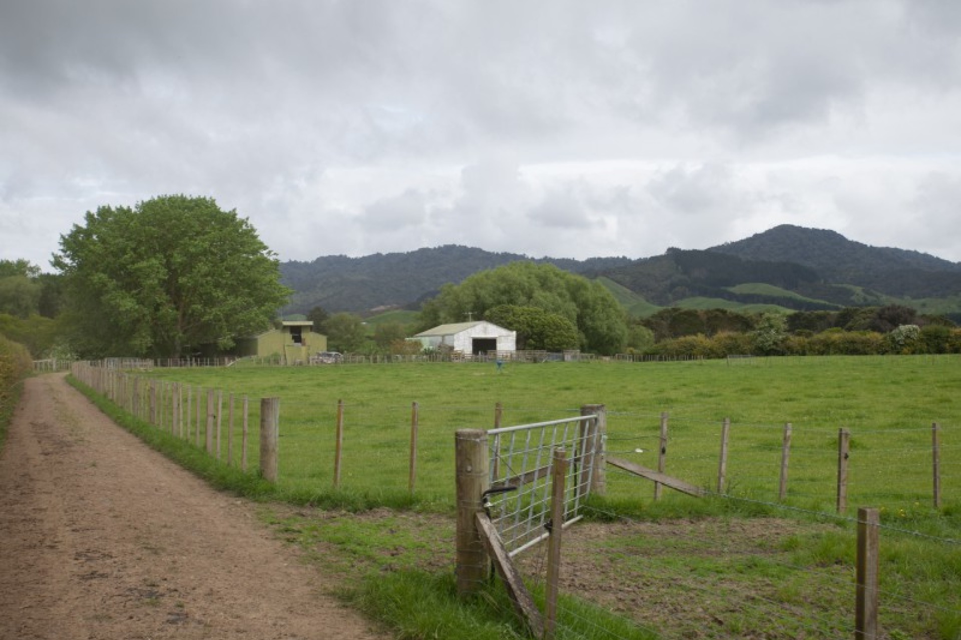 Hoe-O-Tainui