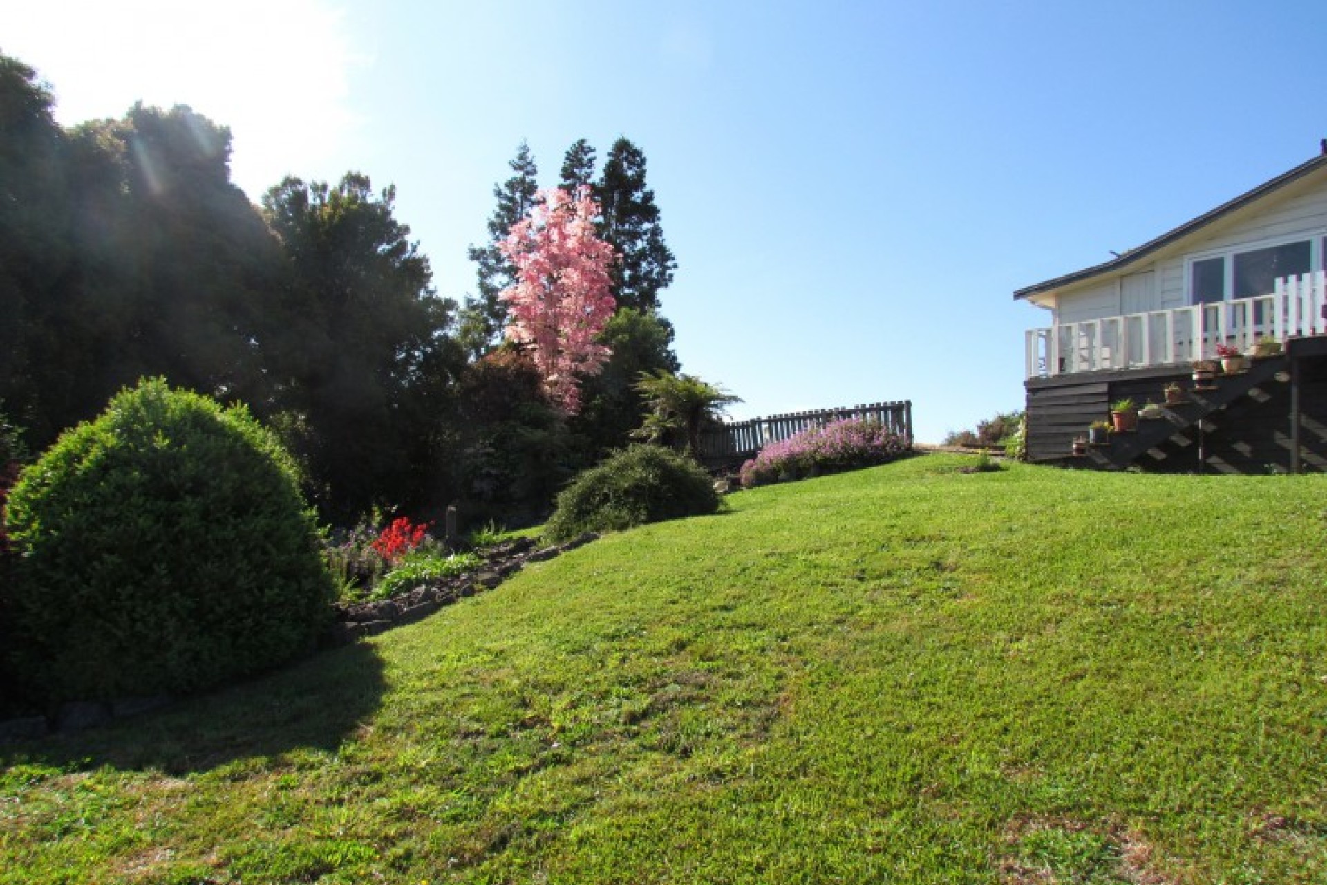 Te Kuiti PGG Wrightson Real Estate