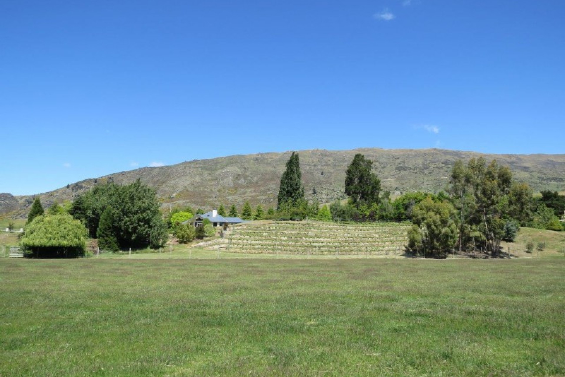 Wanaka