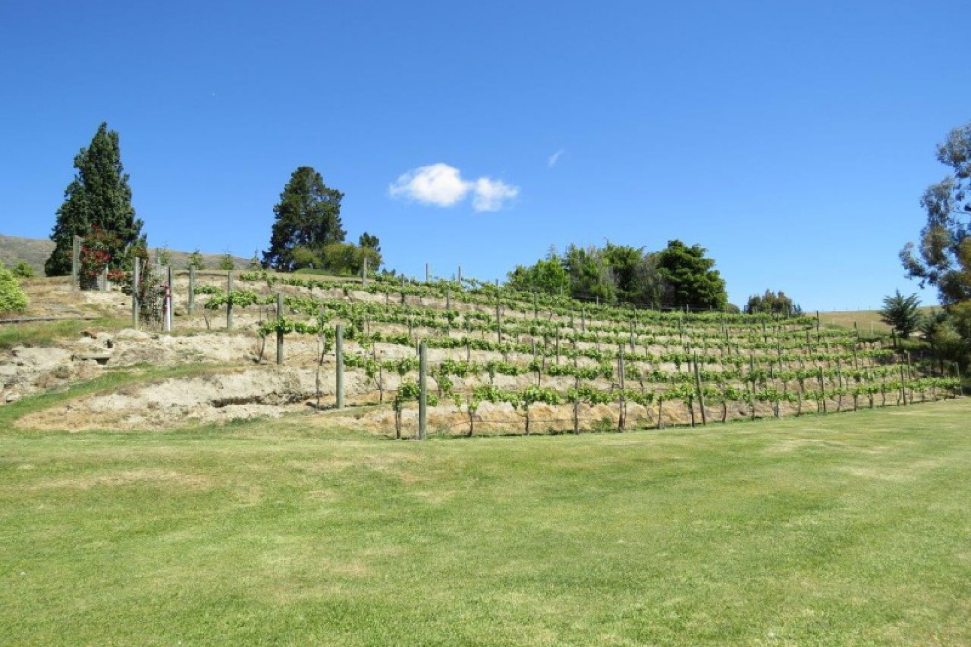 Wanaka