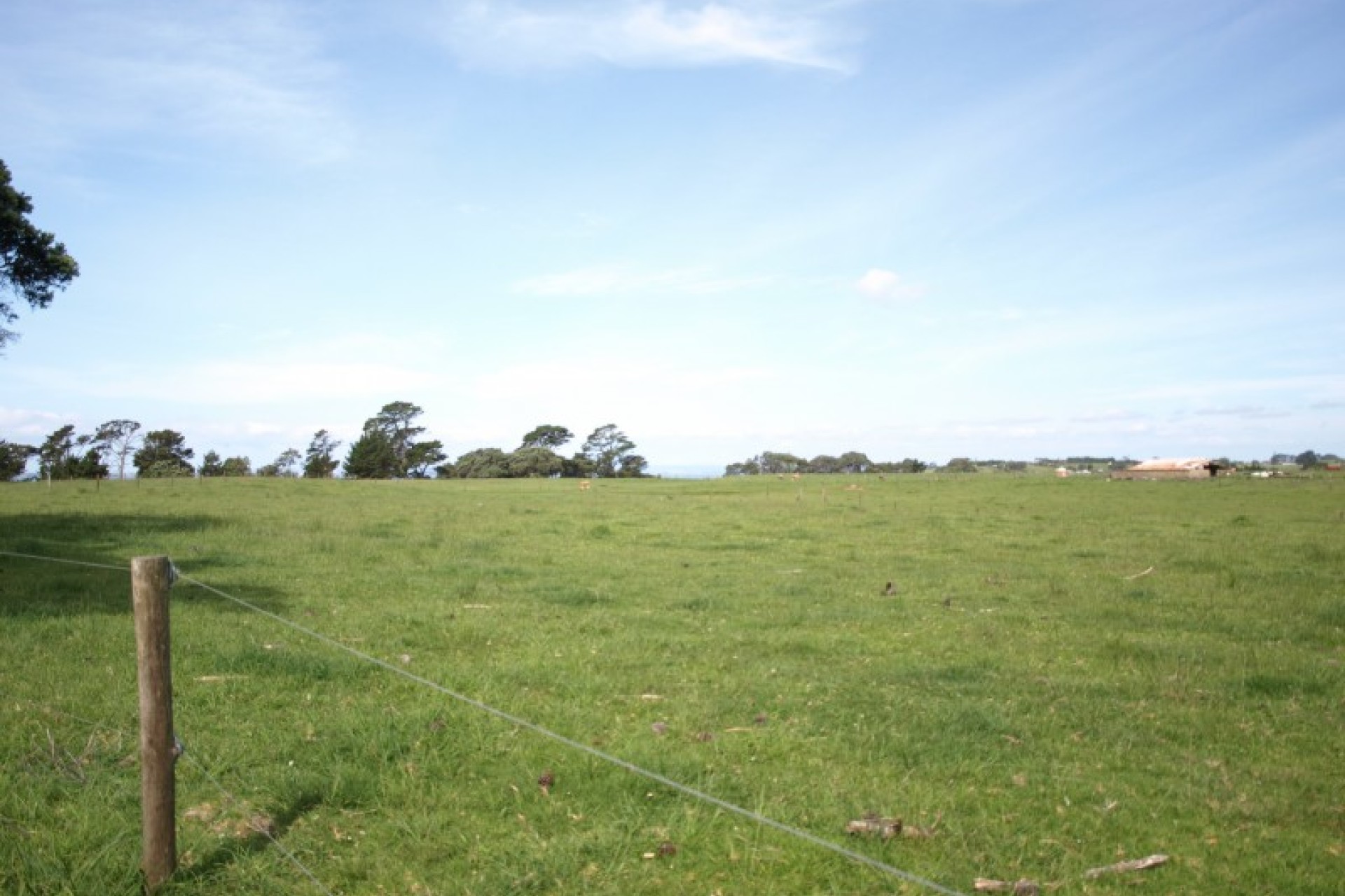 Manukau Heads PGG Wrightson Real Estate