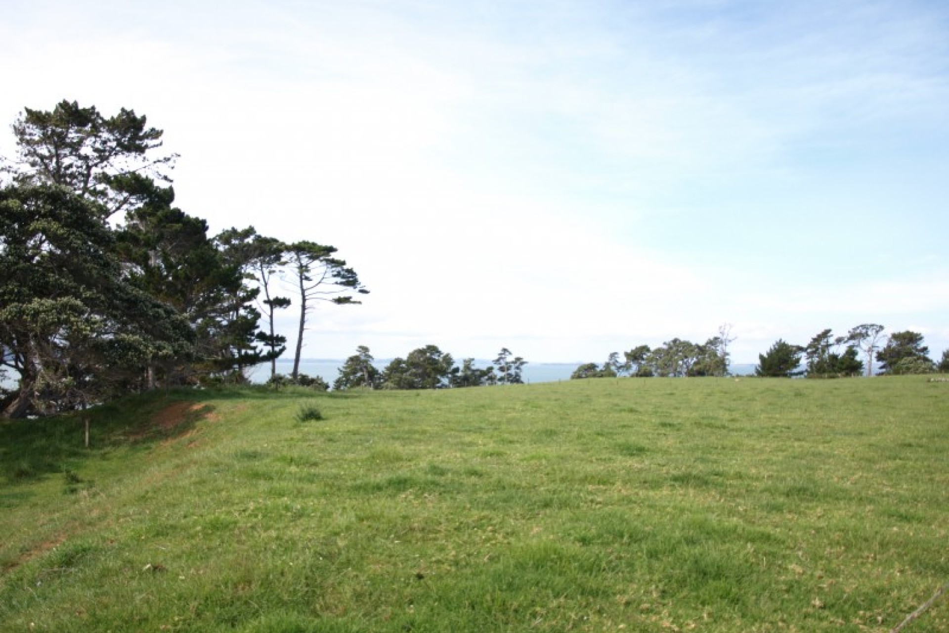 Manukau Heads PGG Wrightson Real Estate