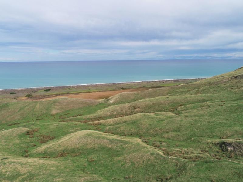 Lifestyle Properties for Sale in Wairoa PGG Wrightson Real Estate