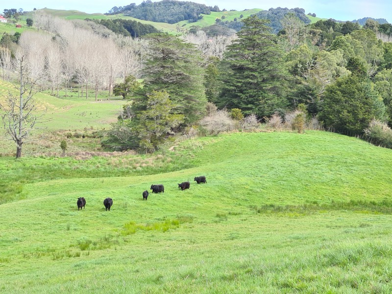 Lifestyle Properties for sale in Paparoa PGG Wrightson Real Estate