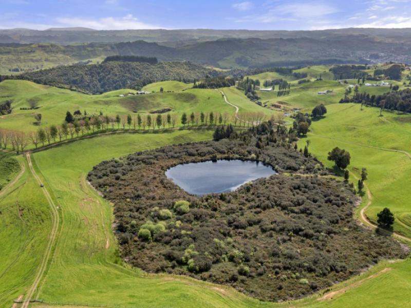 Te Kuiti Office Current Listings PGG Wrightson Real Estate