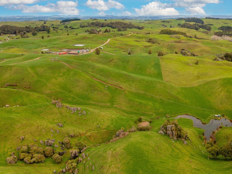 Lifestyle Properties for sale in Piopio PGG Wrightson Real Estate