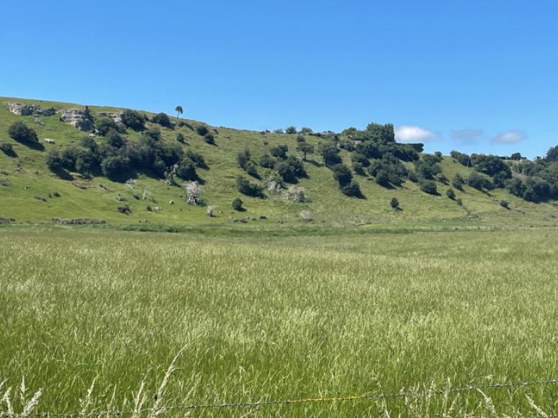 Lifestyle Properties for sale in Centre Bush, Southland PGG Wrightson Real Estate