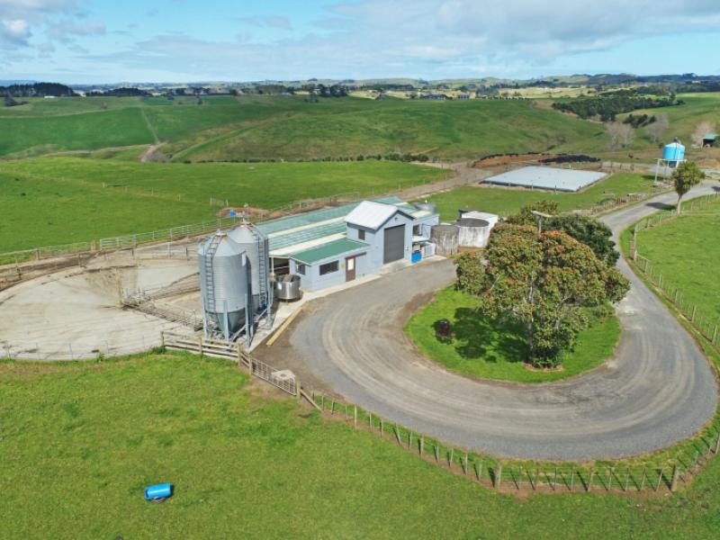 1047-awhitu-road-waiuku