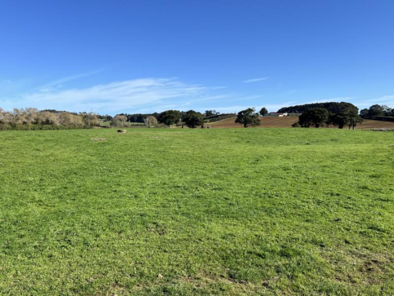 678-waiuku-road-mauku