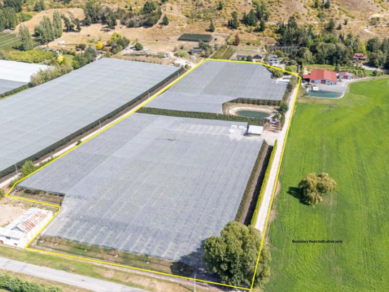 244a-ripponvale-road-cromwell