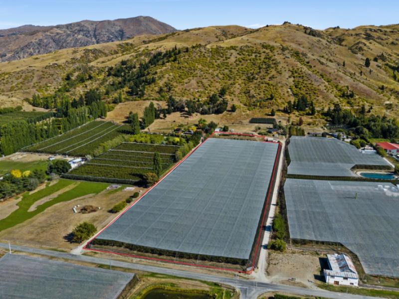 260-ripponvale-road-cromwell