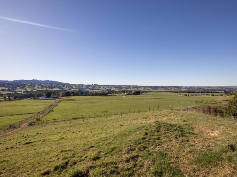 1527-wakarara-road-ongaonga