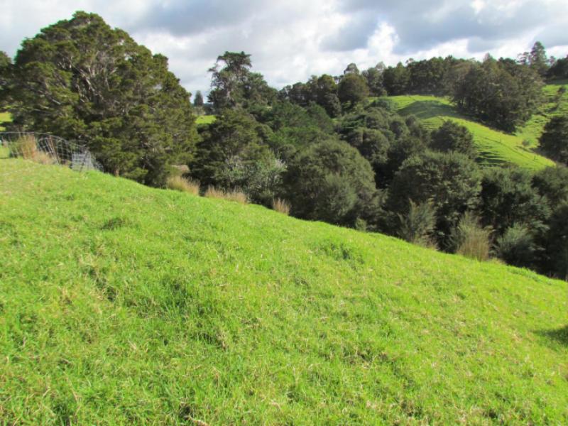 227-mangahui-road-whareora