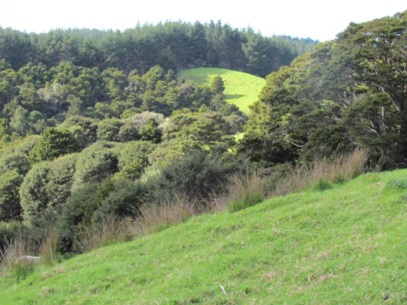 227-mangahui-road-whareora