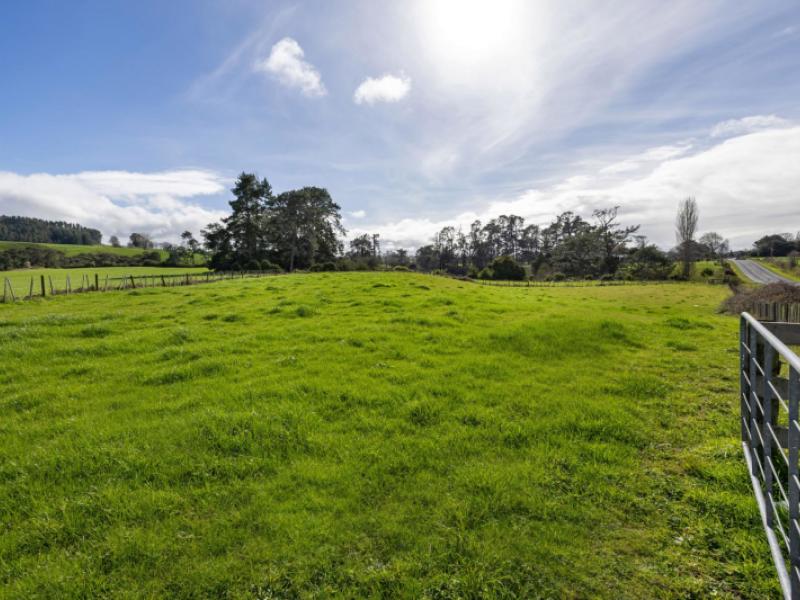 pirongia-road-pirongia