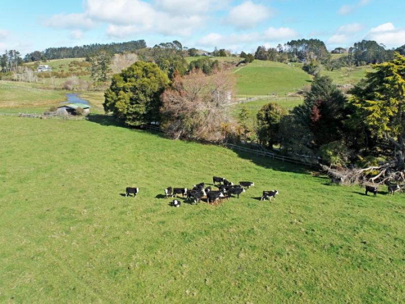 1723-ponga-road-hunua