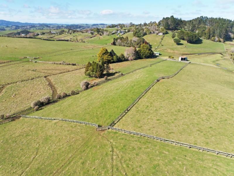 1723-ponga-road-hunua