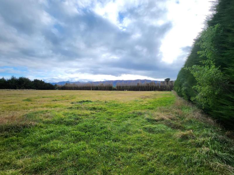 earthquake-road-duntroon