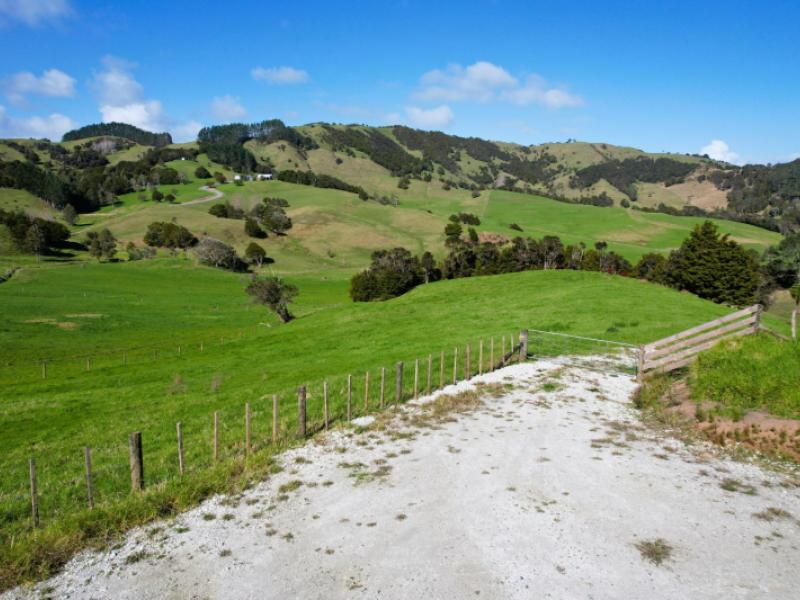 whakahara-road-arapohue
