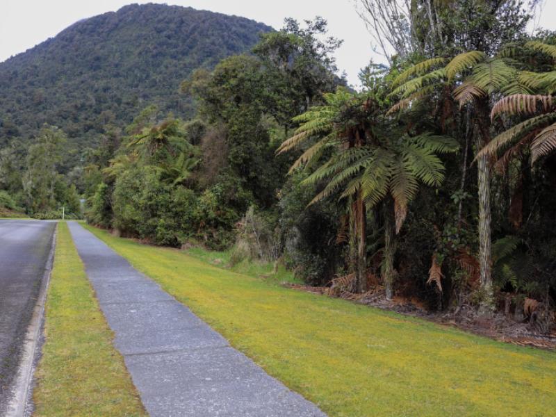 88-cron-street-franz-josef-glacier