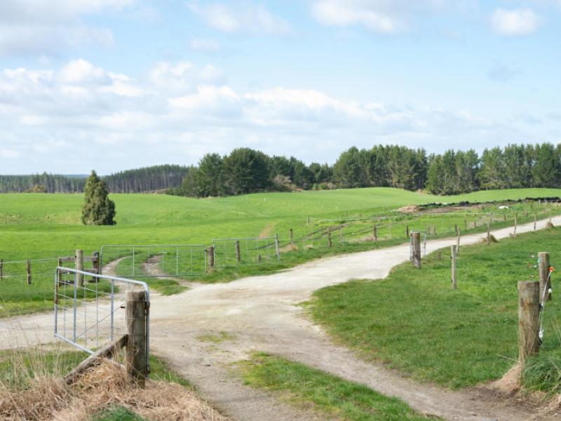 753-pongakawa-bush-road-pongakawa