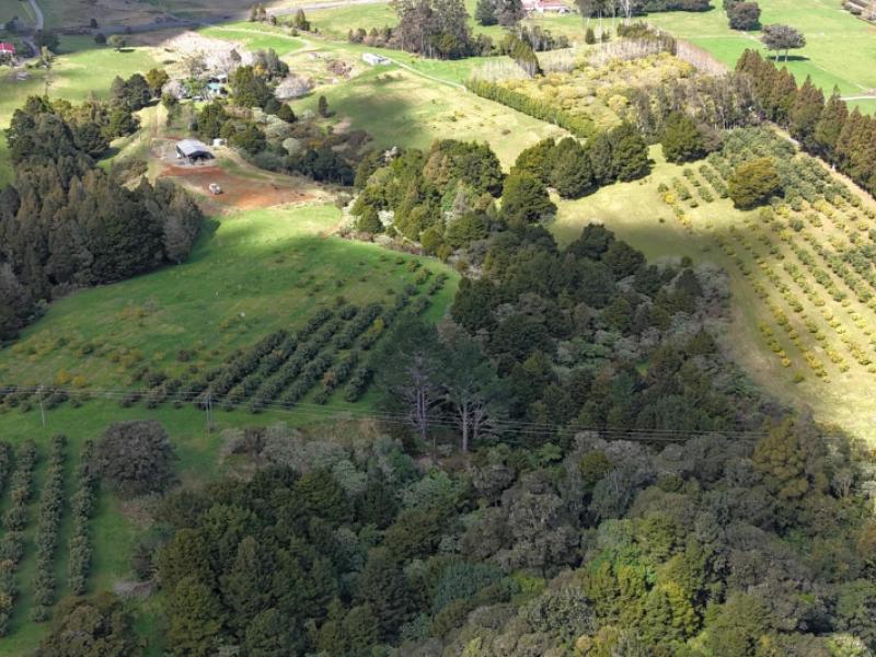 5631-state-highway-12-kaikohe