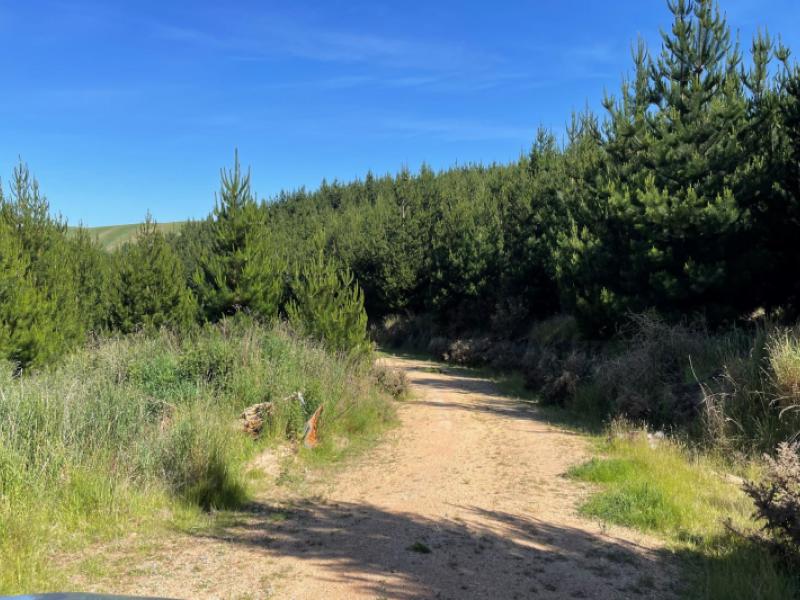 lot-11-taieri-peak-road-palmerston