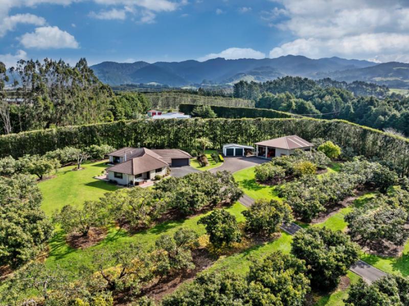237b-busby-road-katikati