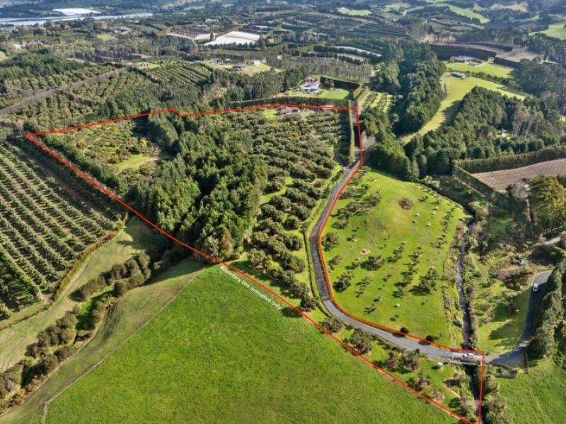 237b-busby-road-katikati