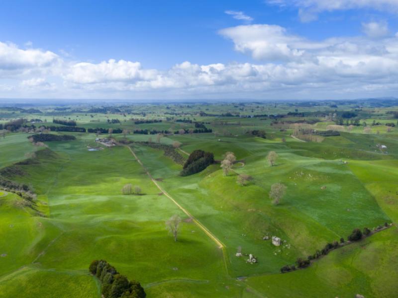 578-waimanu-road-pukeatua
