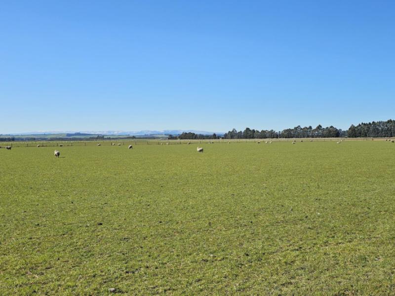 621-josephville-glenure-road-balfour