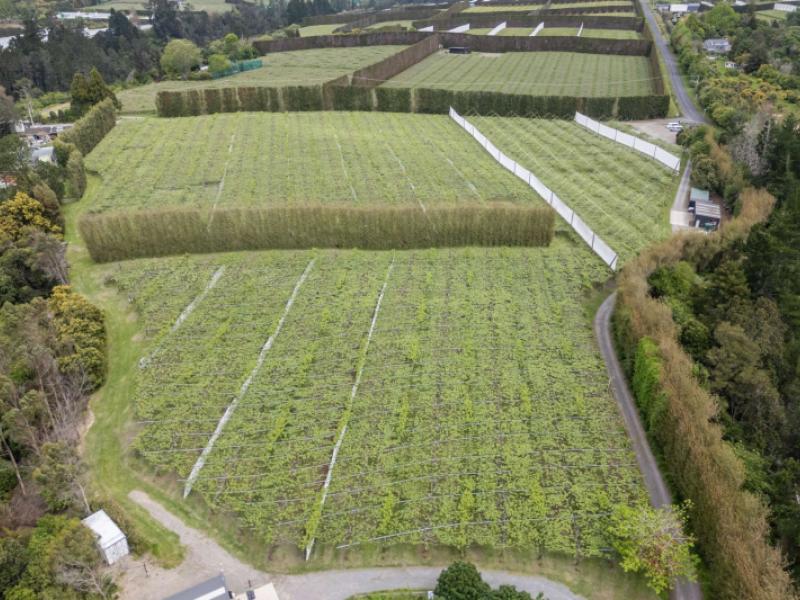 121a-no-4-road-te-puke
