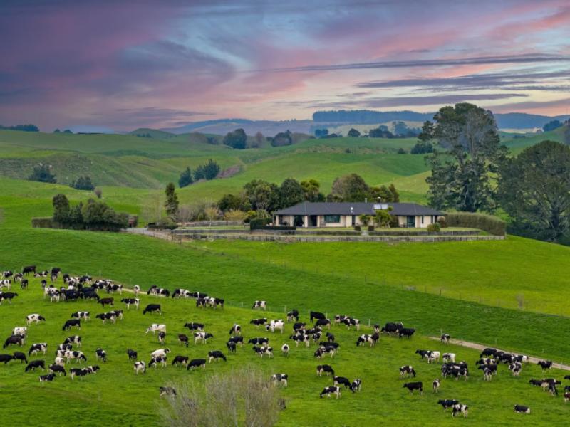2085a-b-old-taupo-road-wiltsdown