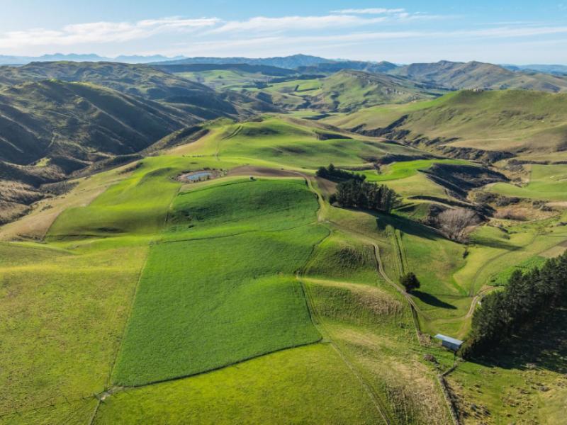 530-weka-pass-road-weka-pass