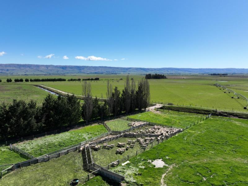 1586-maniototo-road-patearoa