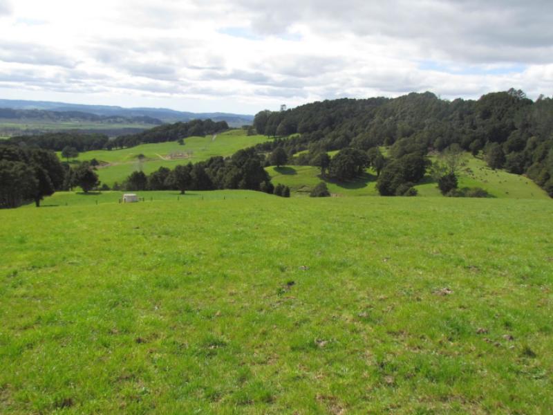 tremain-road-ruatangata-west