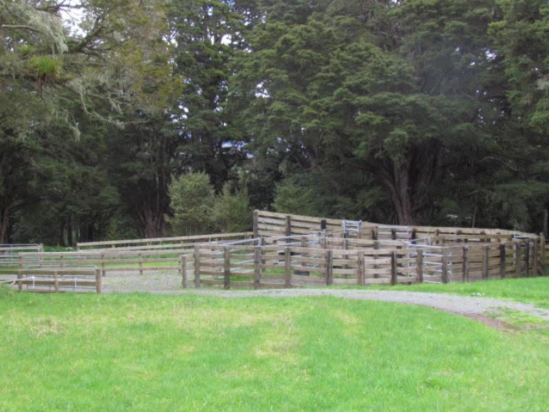 tremain-road-ruatangata-west