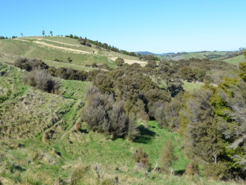 mangapurupuru-road-bideford